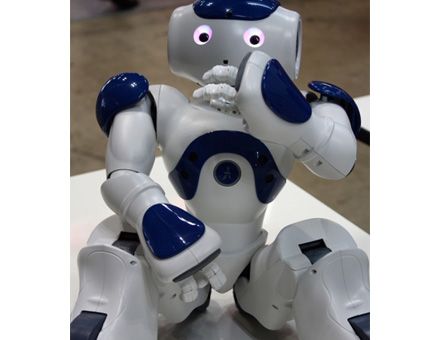 Alderbaran Robotics         Nao.